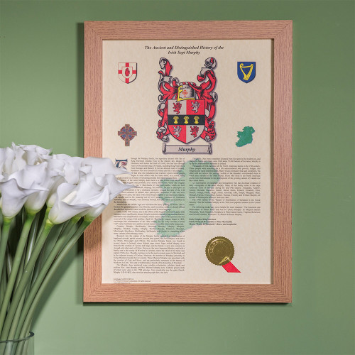 Personalised Irish Coat of Arms and Surname History Print - Framed