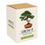 Grow Your Own Bonsai Tree packaging
