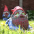 Zombie Gnome - Crawler