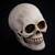 Skull Speaker