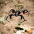 Acrobatic Spider Drone