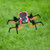 Spider-Drone