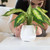 Piano Playing Plant Pot Speaker