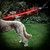 Star Wars Lightsaber Pet Lead – Darth Vader