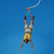 Bungee Jump