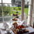 Country House Retreat with Afternoon Tea