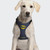 DC Batman Dog Harness