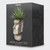 Easter Island Moai Plant Pot in packaging