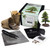 Japanese Cedar Bonsai Tree Growing Kit