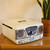 Steepletone Roxy 4 Bluetooth Record Player– Cream