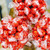 Personalised Lindor Lindt Sweet Tree
