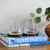 Two whiskey glasses on dark wooden coasters, displayed on a stack of books next to a leafy green plant.