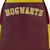 Harry Potter Gryffindor Varsity Loungefly Backpack