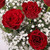 Red Rose & Gypsophila Bouquet