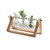 Propagation Vases by #winning