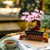 LEGO Botanicals: Bonsai Tree