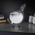 A Globe Storm Glass with white crystals sits in its stand on a grey desk, with books and plants in the background.