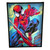 Marvel Spider-Man Light Up Canvas