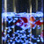 A close-up of the Bubble Fish Tower with red and white fish in the bubbles, illuminated by a cool blue light.