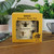 Ecologie Plant Pots Bees