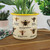 Ecologie Plant Pots Bees