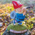 Best Gnome by Par
