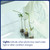 Smart Tech Greenhouse