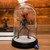 Stranger Things Demogorgon Dome Light