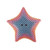 Fidgi 3D Printed Starfish - Random Assorted Colour