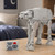 Star Wars Remote Control Walking AT-AT