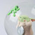 Star Wars Grogu the Child Snow Globe