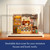 Miniature House Display Box
