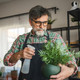 Gardening Gifts for Dad this Father's Day at Menkind - shop now!
