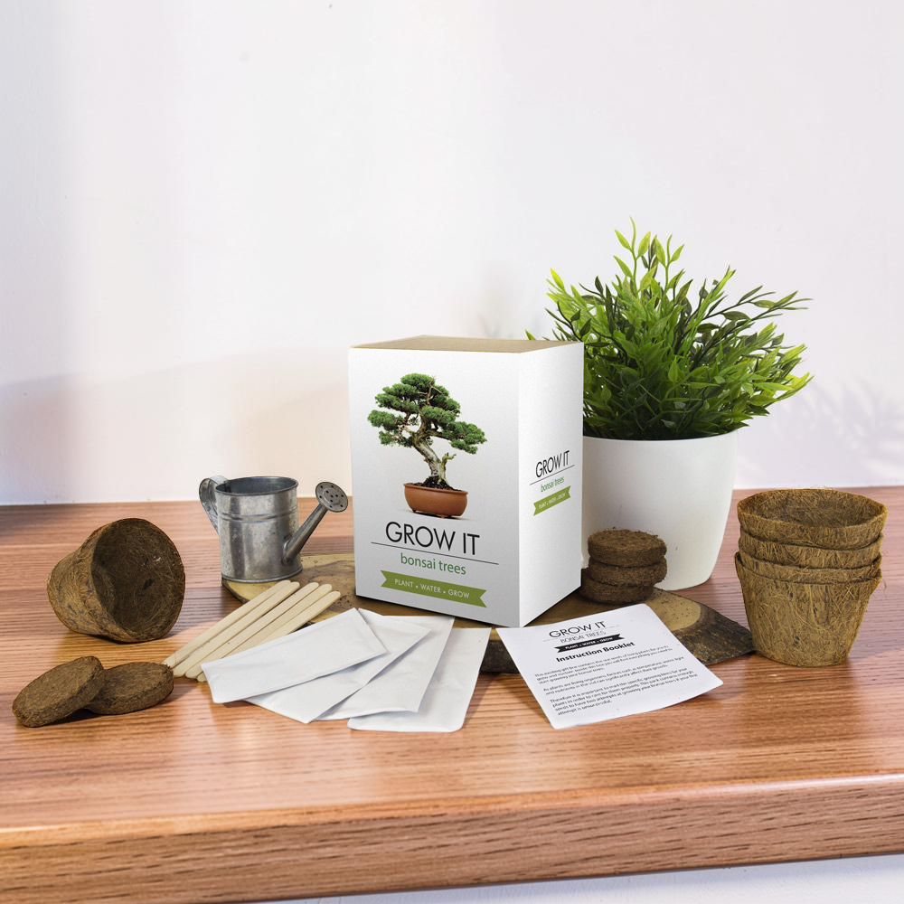 Gift Republic Grow Your Own Bonsai Tree