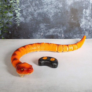 RED5 Remote Control Anaconda|orange