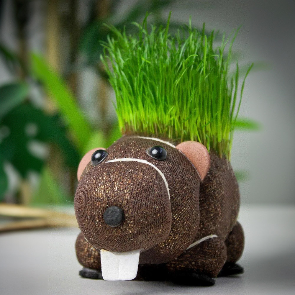 Diabolical Grow Your Own Hairy Beaver