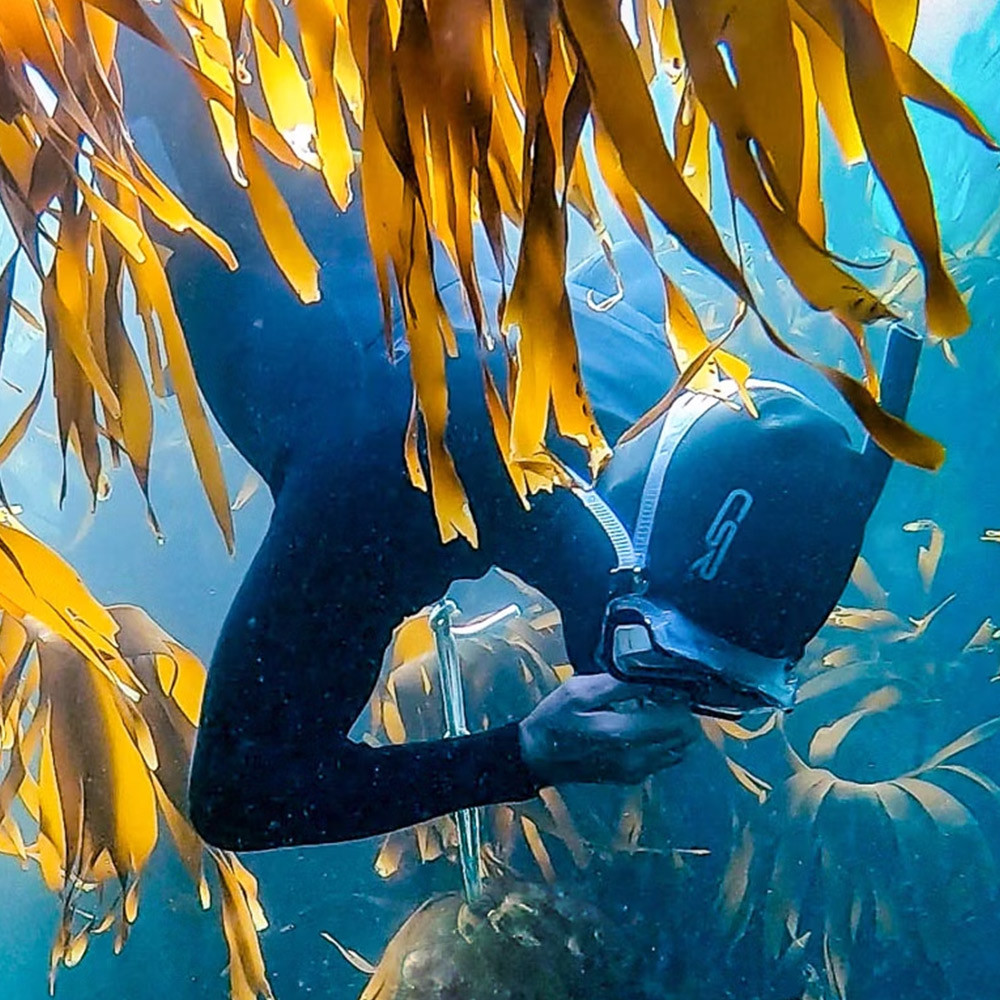 Virgin Experience Days Ltd Scuba Diving For Two
