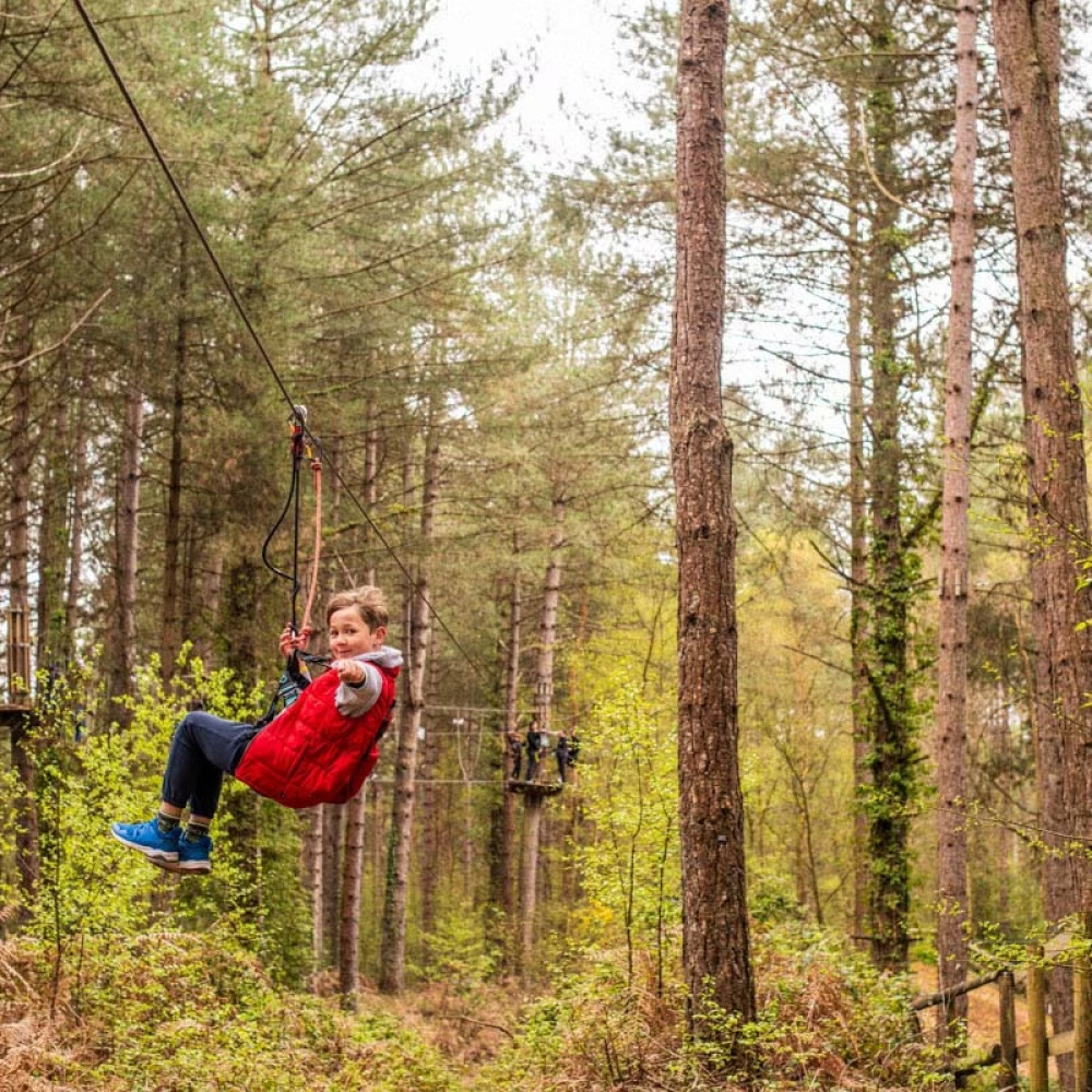 Virgin Experience Days Ltd Go Ape Junior Treetop Adventure