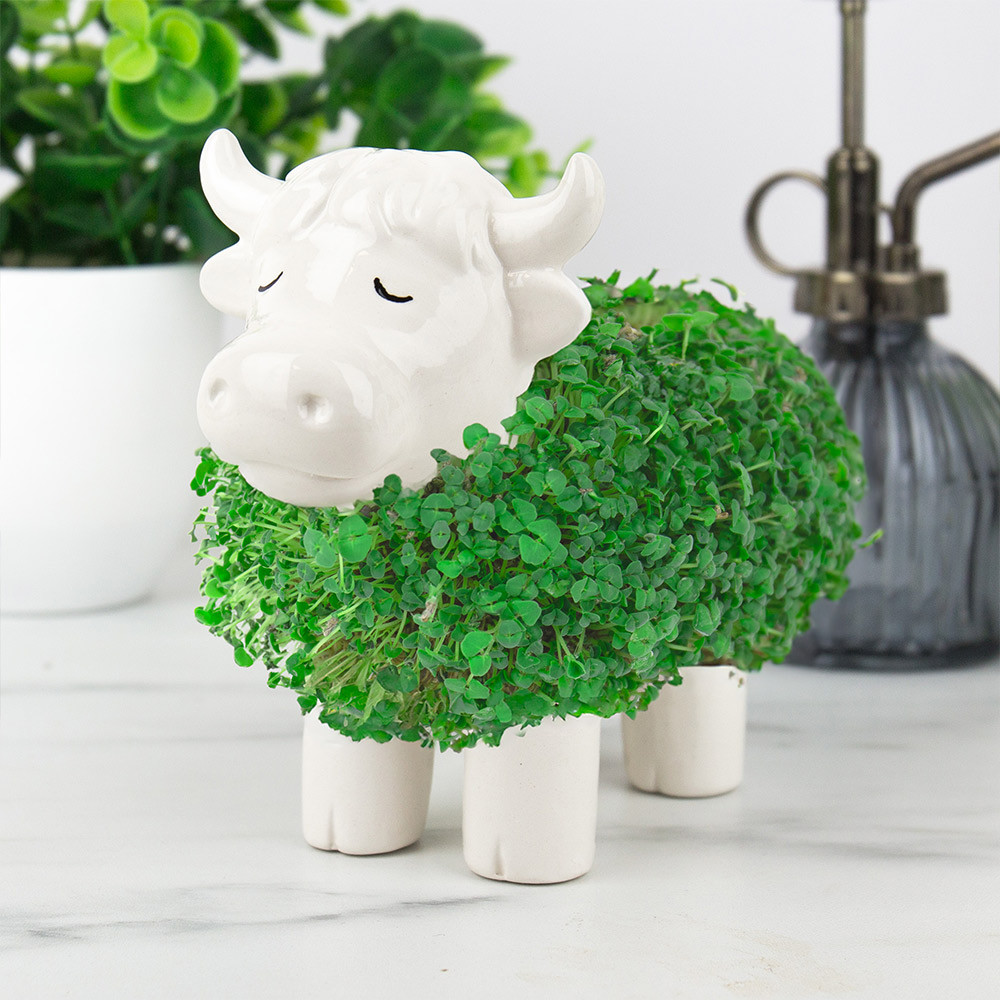 Gift Republic Highland Cow Planter