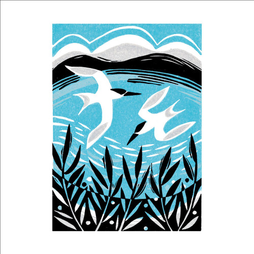 MA86898 - Terns (1 blank card)