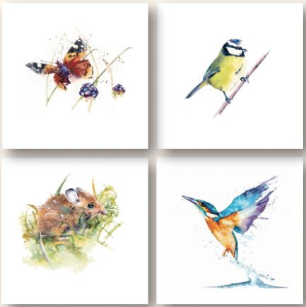 WAL84098 - Rachel Toll (1 wallet of 8 cards)-
