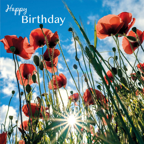 SM14196HB - Poppies and Sunburst (1 birthday card)~