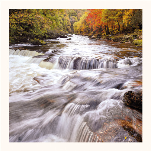 SM25035 - River Dart, Autumn (1 blank card)