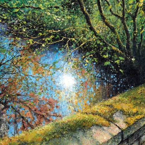 DO66600 - Up from the woods (1 blank card)