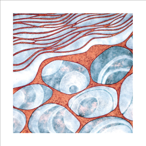 JP97572 - Seashore (1 blank card)