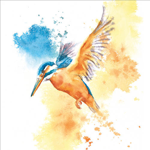 RT84607 - A Flash of Blue and Gold (1 blank card)