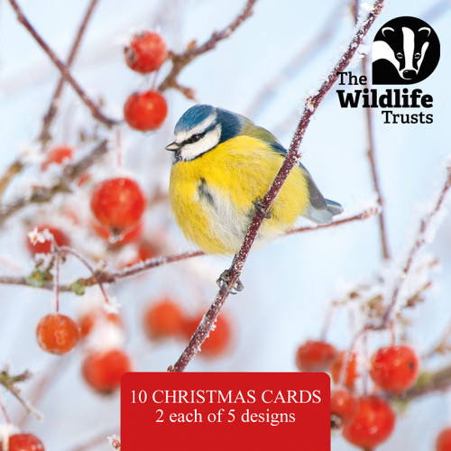 WT91030 - Wildlife Trust mixed PHOTOGRAPHY 120mm pack (1 pack of 10 charity Christmas cards)