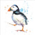 RT84949 - Puffin (1 blank card)~