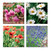 WAL11126 - The Beauty of Flowers (1 wallet of 8 cards)