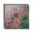 WAL91129 - TWT British Mammals (1 wallet of 8 cards)
